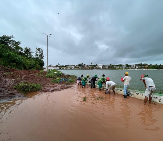 Prefeitura de Lagoa de Dentro emite alerta devido as fortes chuvas