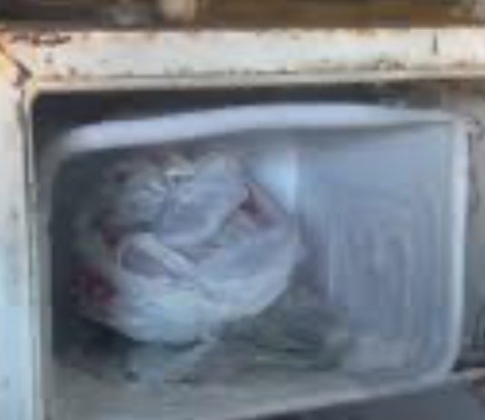 Feto é encontrado dentro de congelador em casa em Itapororoca