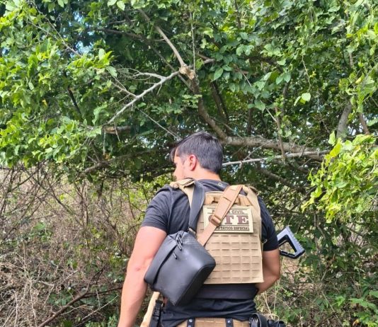 Casal suspeito de matar e ocultar corpo de mulher é preso
