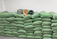 Homem é preso com meia tonelada de maconha em caminhão